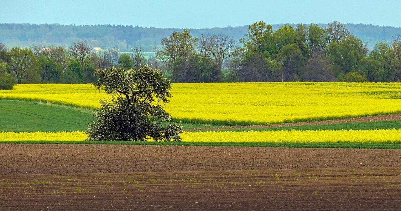 Cztery Luksusowe Domy Na Mazurach, Jezioro Juksty - Sakurarest Sniadowo  Eksteriør bilde